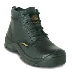 Botín Puelche II Anticlavo